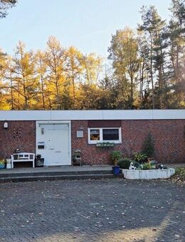 Wohnen direkt am Wald: Bungalow mit großen Grundstück in naturnaher Lage von Mölln zu verkaufen - Mölln (Schleswig-Holstein)