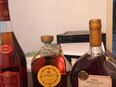 Armagcan/Cognac Flasche in 45219