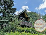 Gemütliches Ferienhaus im Freizeitdorf Ostertal (Reichelsheim / Unter-Ostern) - Reichelsheim (Odenwald)