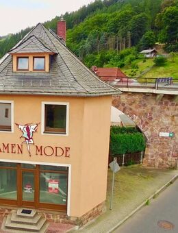 Einfamilienhaus mit Gewerbemöglichkeit in Dippoldiswalde OT Schmiedeberg zu verkaufen! - Dippoldiswalde