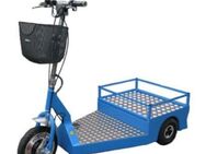 Elektro Roller - Wittlich