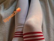 Femboy sucht Schwanz 🍆💦 - Bergheim (Nordrhein-Westfalen)