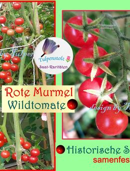 ♥ Ur Wild Tomate Rote Murmel 15 Jh. Freilandsorte 15 Samen Alte Sorte,Tulpenstolz,samenfest - Hamburg