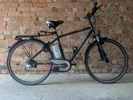 Kalkhoff Pedelec Panasonic (Touren/ City-Bike) Herren - Erfurt
