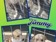 Jimmy wird traurig! - Nürnberg