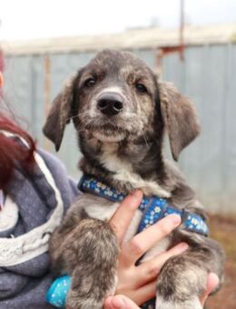 Milow ist ein lieber, süßer Kerl - Berlin