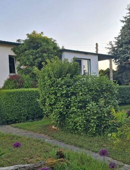 Massives Einfamilienhaus mit großem Holzblockhaus in Gohrau - Oranienbaum-Wörlitz