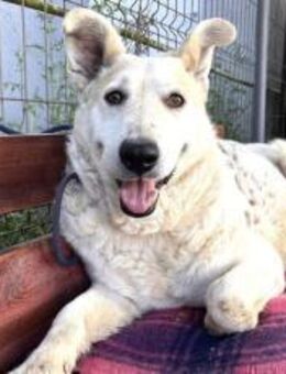 Wer zeigt Gretel wie schön das Leben ist - München