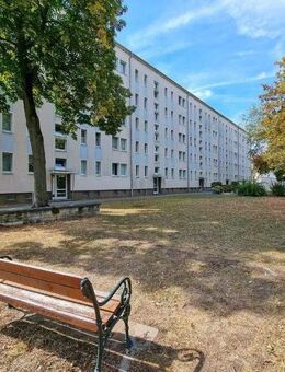 Schöne Wohnung in beliebter Lage - Magdeburg