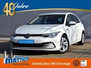 VW Golf, 2.0 TDI VIII Life First-Edition, Jahr 2020 - Bautzen