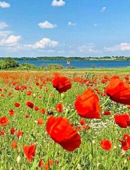 Seltene Gelegenheit mit eigenem B-Plan - Dassow