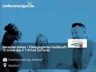 Spracherzieher / Pädagogische Fachkraft m Sinne des § 7 KiTaG (m/w/d) - Walldorf (Baden-Württemberg)