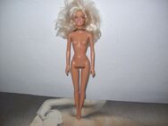 Barbiepuppe .......... - Erwitte