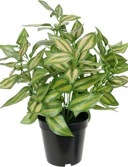 Kunstpflanze Künstliche Tradeskantie mit Topf Deko Grünpflanze Zimmerpflanze, I.GE.A., Höhe 35 cm, Efeuranke Tradescantiahänger Efeu Dekopflanze Seidenpflanze Kunstblume