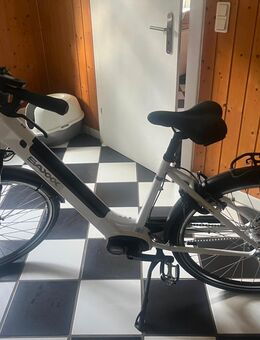 SAXXX E-Bike -Cityrad 28 -36V-418Wh - Kerken