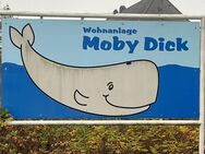 Hier stimmen Preis und Leistung - Borkum