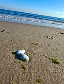 Für SIE ab 58 bis ....... - Chemnitz