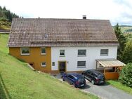 Günstig und gut: Grosses Wohn-/Ferienhaus im Naturpark Diemelsee - Marsberg