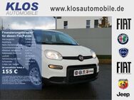 Fiat Panda, 1.0 HYBRID GSE 70PS E6D FINAL, Jahr 2024 - Marpingen