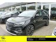 Opel Grandland 1.6 Turbo Hybrid EU6d Ultimate Plug-in-Hybrid 4 AHK-abnehmbar Navi Soundsystem - Niederahr