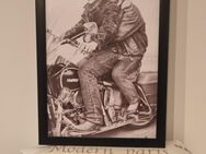 James Dean Poster Druck Gerahmt 47 X 33cm - Wedel