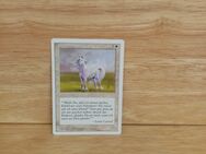 Magic The Gathering-Perleneinhorn. - Nörvenich