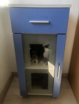 Badschrank blau-weiss-Glas - Breitenbach (Herzberg)