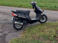Rex Moto Roller 25km/h - Nürtingen