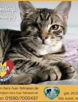 Sofia wartet auf ihr Happy Home! - Waakirchen