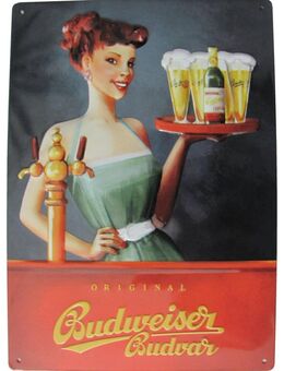 Budweiser - Blechschild - Ladies Sammelschild Nr.5 - Doberschütz