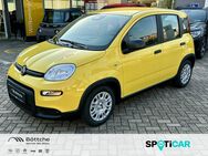 Fiat Panda, Pandina MY24, Jahr 2024 - Dessau-Roßlau