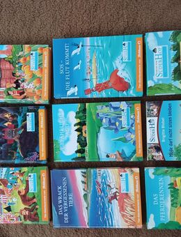 Süderhof gebundene Bücher 11 Stk Neues vom Süderhof Pelikan div. Titel - Bielefeld