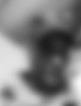 Kai*** - Frankfurt (Main)