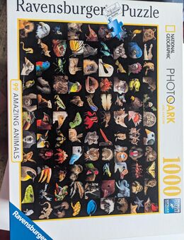 3 x Puzzle (1000 Teile) zu verschenken, für Selbstabholer in Köln - Köln