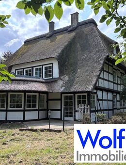 Modernes Fachwerkhaus mit Reetdach und Wellnessbereich am Südhang des Wiehengebirges - Hüllhorst
