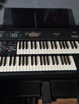 Technics PCM Sound EX25 L Keyboard Orgel Musik - Aldenhoven