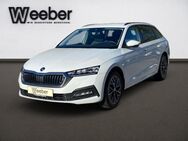 Skoda Octavia, 1.5 TSI Combi e-Tec Ambition, Jahr 2024 - Calw