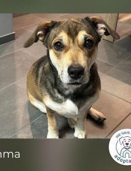 Emma - liebes Herz trifft Lebensfreude - Kirchzell