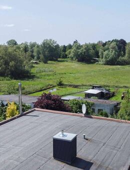 Sechs Zimmer, Kamin & Sauna - Aus dem Wohnzimmer in Velgast die Rehe beobachten - Velgast