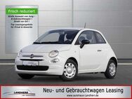 Fiat 500 1.0 Mild Hybrid Cult //Klimaanlage/DAB - Thannhausen