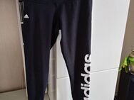 Adidas Leggings Gr.36 - Hagen (Stadt der FernUniversität) Haspe