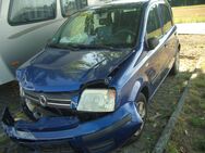 fiat panda - Schopfloch (Bayern)