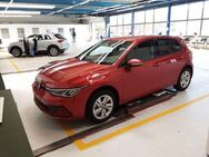 VW Golf, 2.0 TDI VIII Life Travel App, Jahr 2023 - Hannover