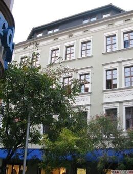 A4RES - kleine 1 Raumwohnung mit EBK im Zentrum von Bautzen ideal für Montagearbeiter - Bautzen