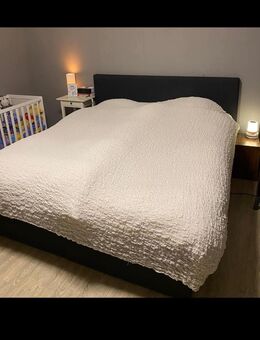 Bett mit Motor - Böhl-Iggelheim