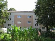 1-Zimmer-Wohnung in Dortmund Körne - Dortmund