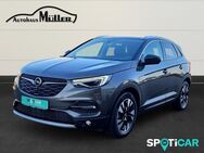 Opel Grandland, 1.2 Ultimate Turbo, Jahr 2019 - Bremervörde