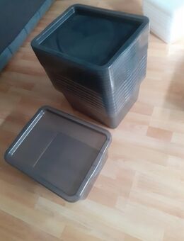 Kunstoffbox dunkel getönt 10 Stück - Wolfenbüttel