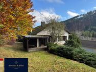 Freistehendes Einfamilienhaus in ruhiger Lage mit großzügigem Garten - Feldberg (Schwarzwald)