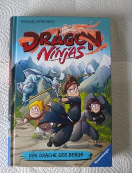 Dragon Ninjas Band 1-Der Drache der Berge,Michael Petrowitz,Ravensburger Verlag,2020 - Linnich